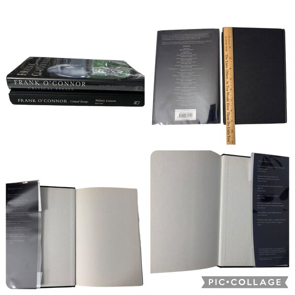 Frank O'Connor Critical Essays 2007 Edited by Hilary Lennon HC Four Courts Press - Picture 4 of 16